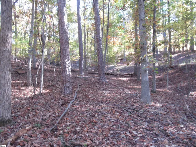 $18,900 | 107 North Foxglove Road, Westminster, SC 29693