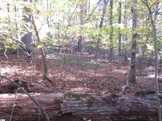 $18,900 | 107 North Foxglove Road, Westminster, SC 29693