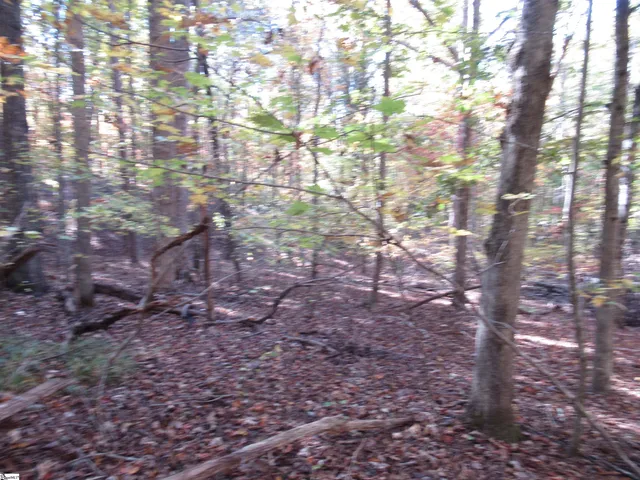 $18,900 | 107 North Foxglove Road, Westminster, SC 29693