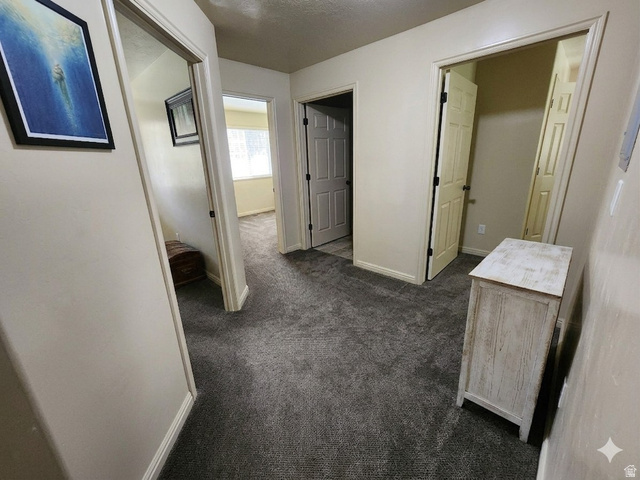 2525 West 450 South, Unit 8 Springville, UT 84663 - Photo 5 of 22 Hallway featuring plush gray carpeting, neutral wall tones, white trim, and multiple doorways