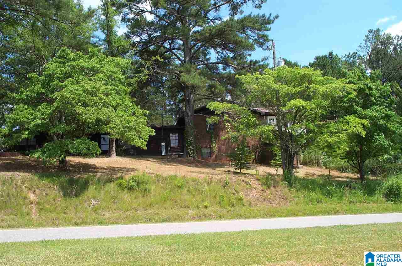 3371 County Road 3 Delta, AL 36258 - Photo 6 of 27