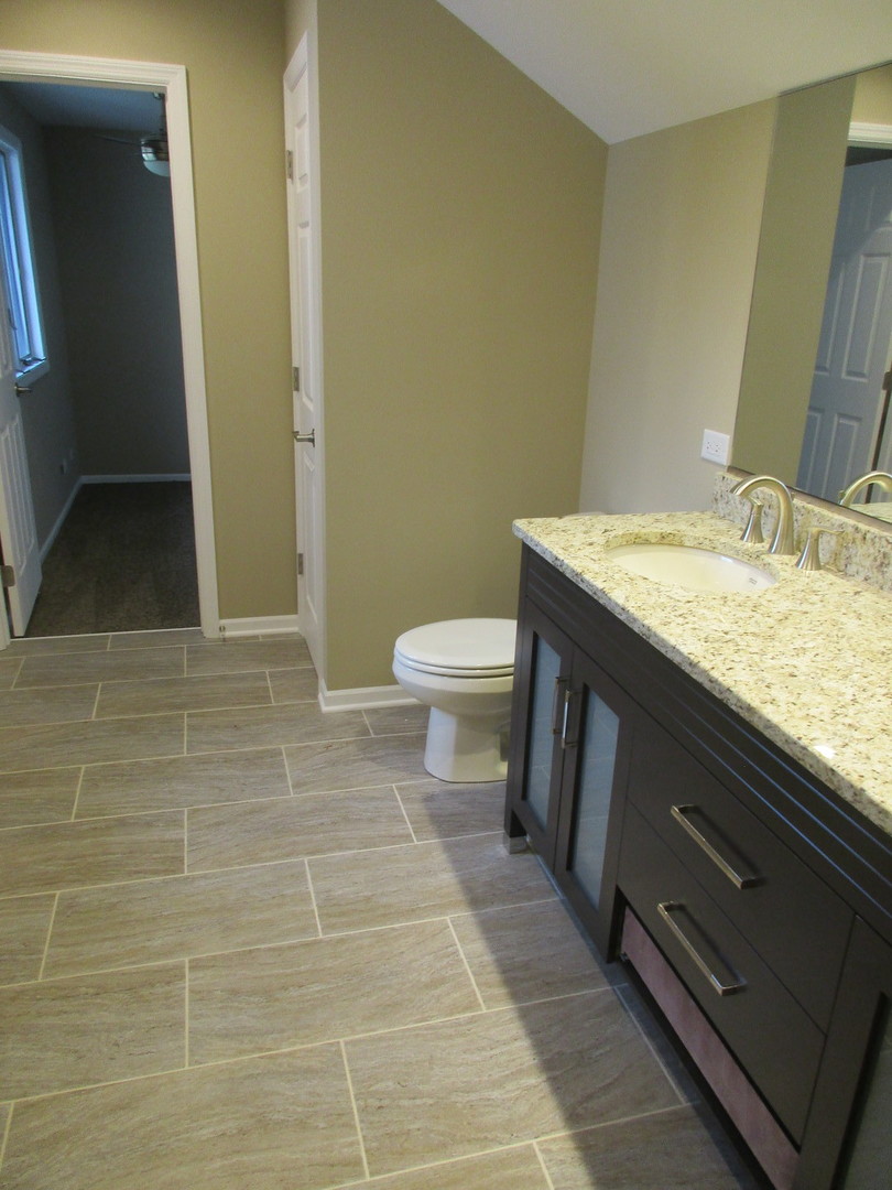 507 San Carlos Road Minooka, IL 60447 - Photo 18 of 48 a bathroom with a granite countertop sink and a toilet