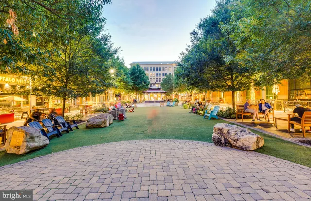 a view of a park with large trees