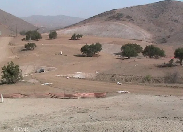 a view of a dry yard with trees in the background