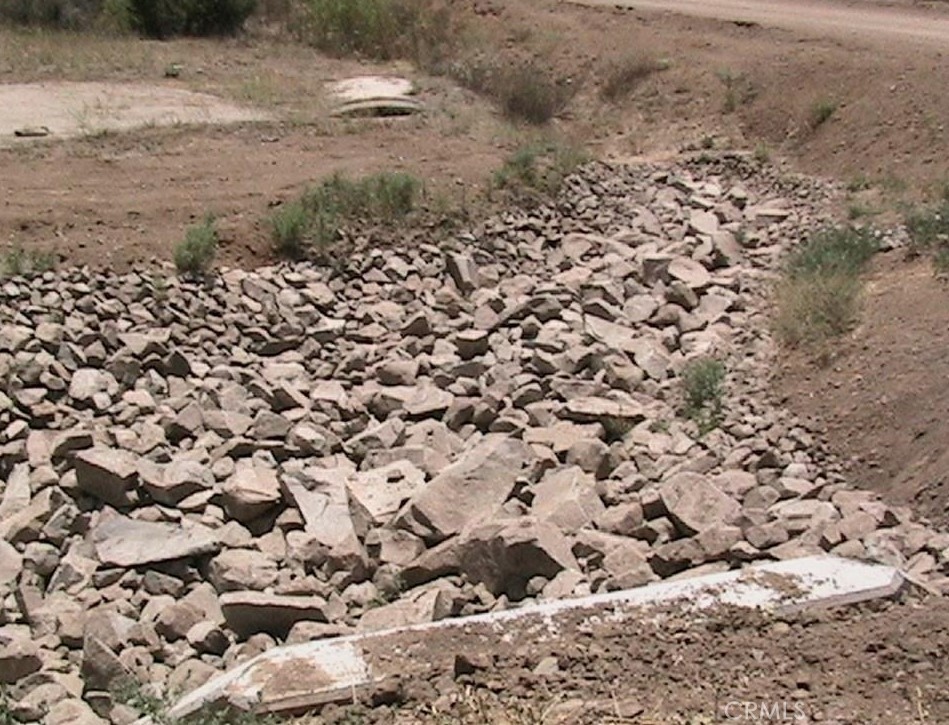 15255 Gavilan Springs Road Perris, CA 92570 - Photo 12 of 15 a view of a yard with a large tree