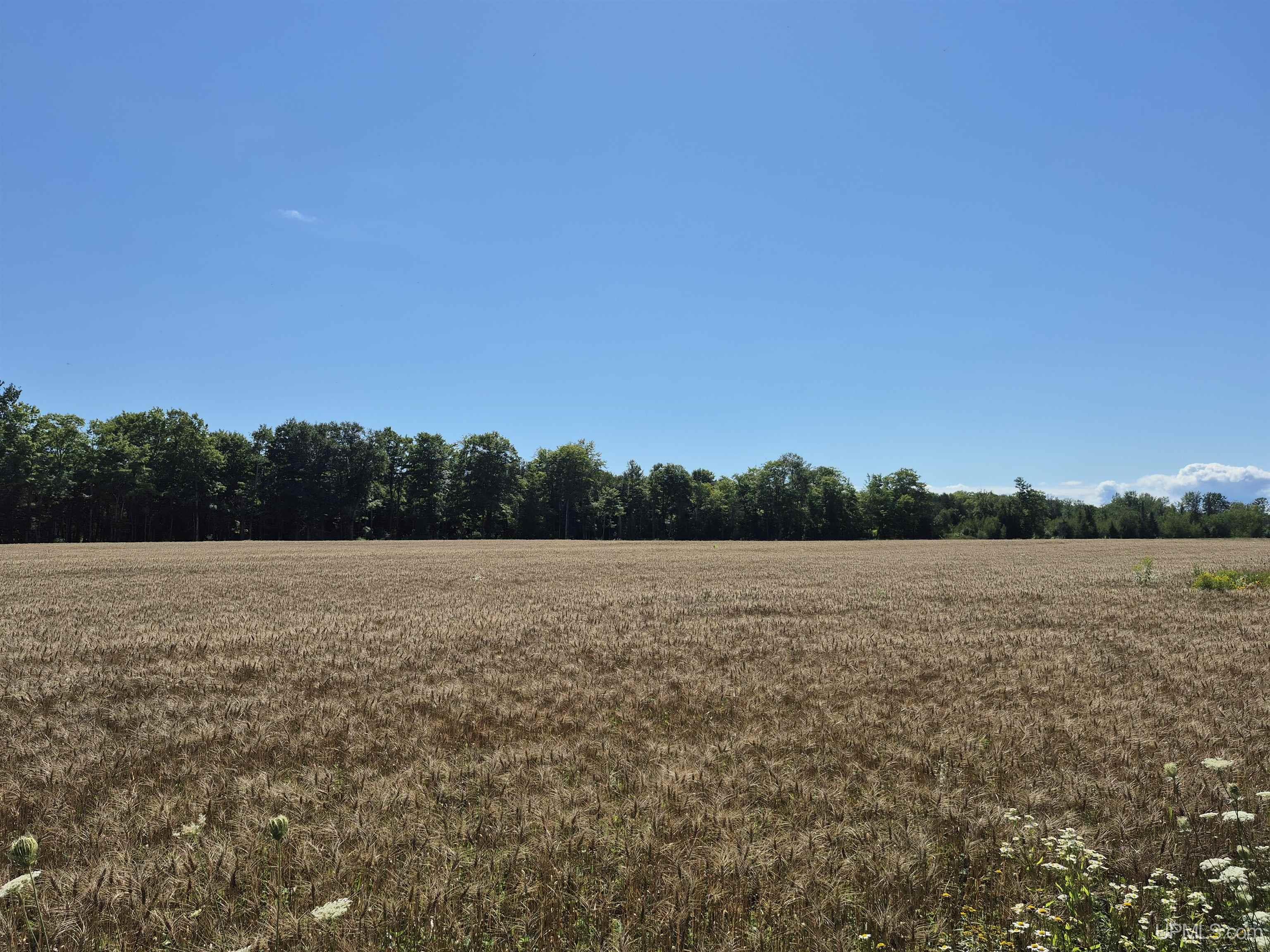 160-acres Halverson Road Gulliver, MI 49840 - Photo 22 of 35