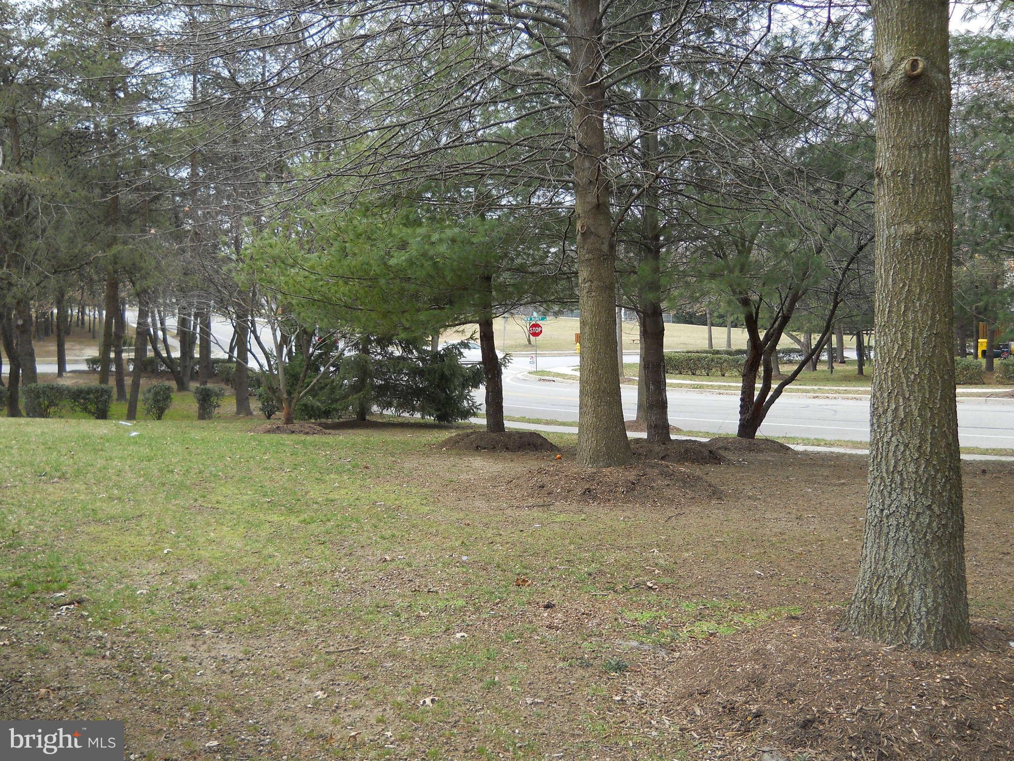 7914 Bent Bough Road Severn, MD 21144 - Photo 27 of 30 View