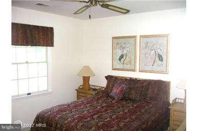 2837 Cox Neck Road Chester, MD 21619 - Photo 23 of 29 a bedroom with a bed and a window