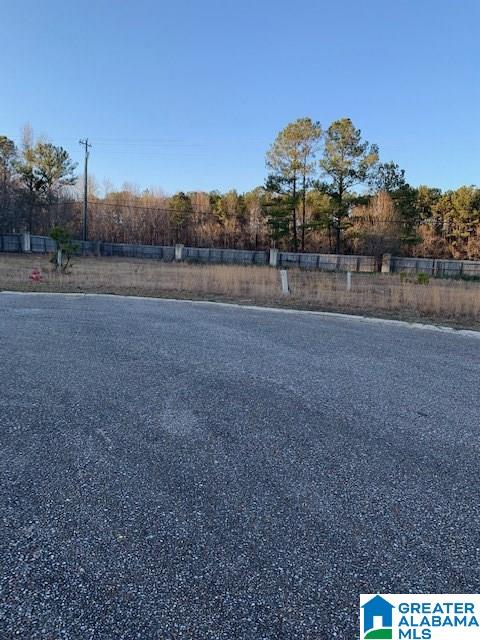 0 Spring Court, Unit 5 Clanton, AL 35045 - Photo 2 of 5