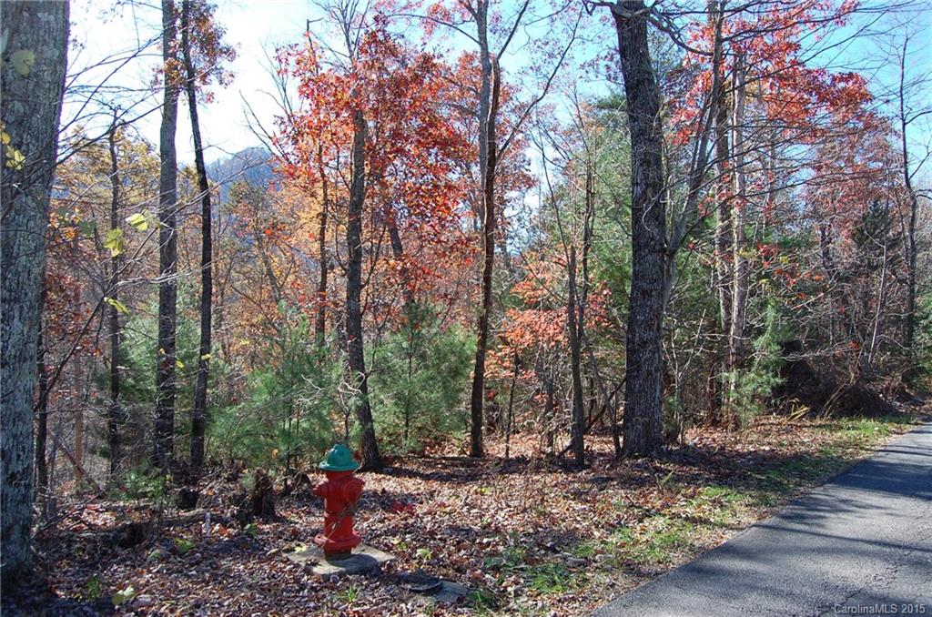 99999 Seton Road, Unit 17 Lake Lure, NC 28746 - Photo 2 of 11 Gallery Image 2