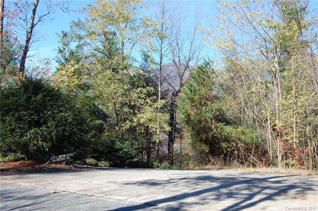99999 Seton Road, Unit 17 Lake Lure, NC 28746 - Photo 3 of 11 Gallery Image 3