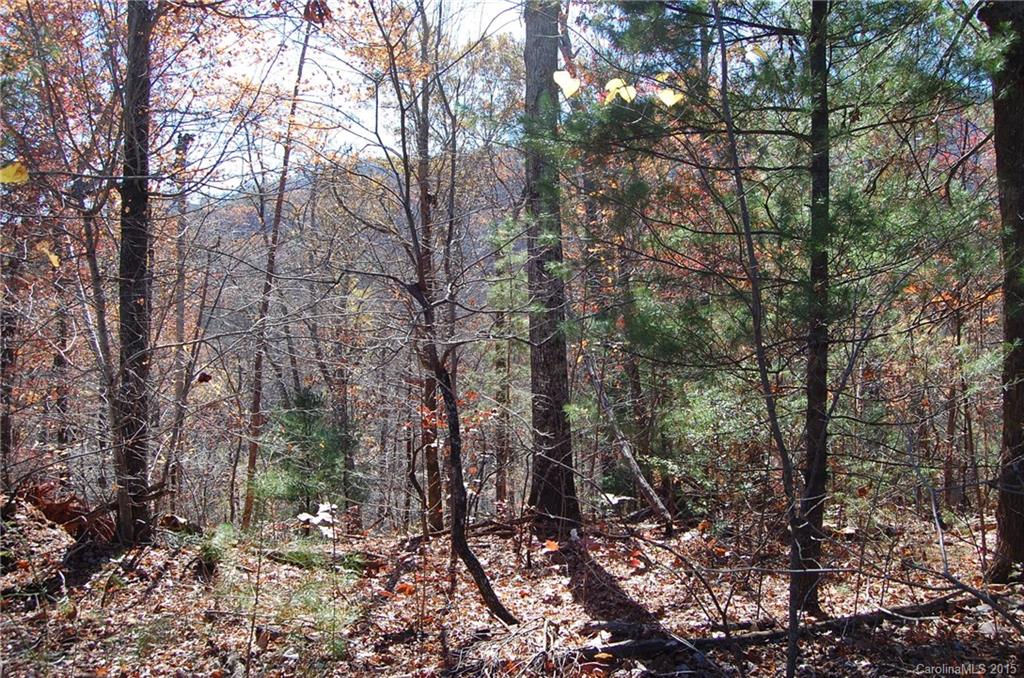 99999 Seton Road, Unit 17 Lake Lure, NC 28746 - Photo 6 of 11 Gallery Image 6