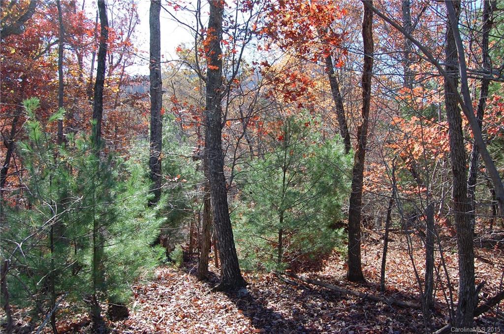 99999 Seton Road, Unit 17 Lake Lure, NC 28746 - Photo 9 of 11 Gallery Image 9