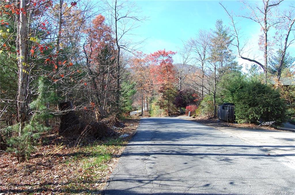 99999 Seton Road, Unit 17 Lake Lure, NC 28746 - Photo 10 of 11 Gallery Image 10
