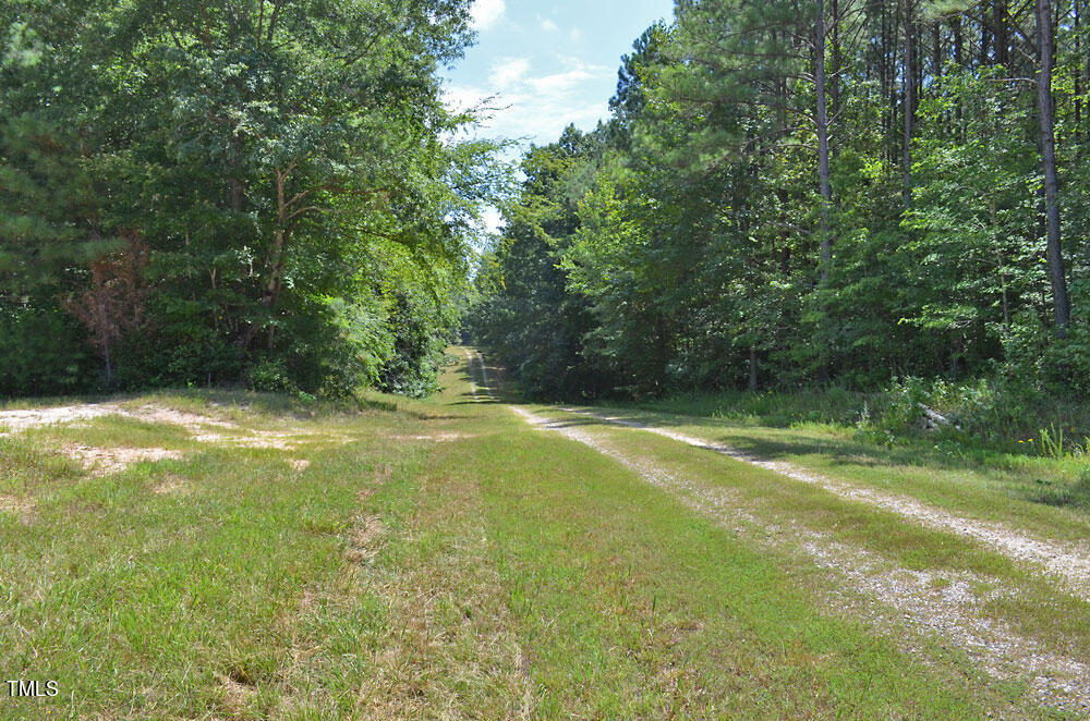 6308 Lancaster Store Road Spring Hope, NC 27882 - Photo 14 of 48 13