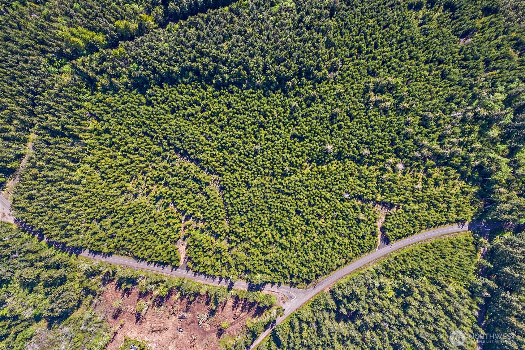 0 West Lost Lake Road Shelton, WA 98584 - Photo 5 of 13