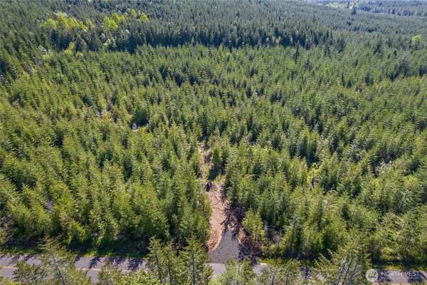 $165,000 | 0 West Lost Lake Road, Shelton, WA 98584