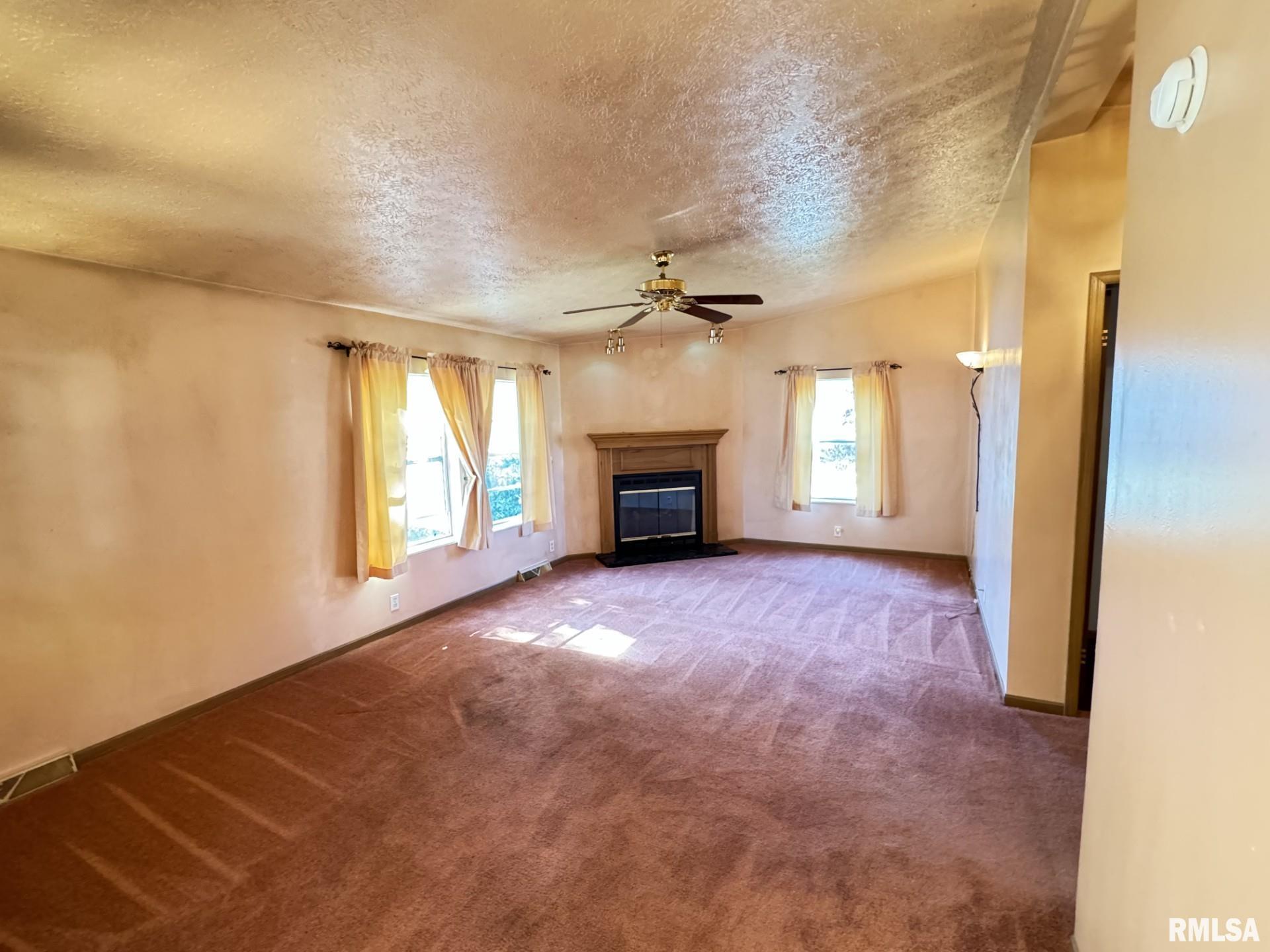 20 Bone Valley Drive Springfield, IL 62702 - Photo 4 of 15