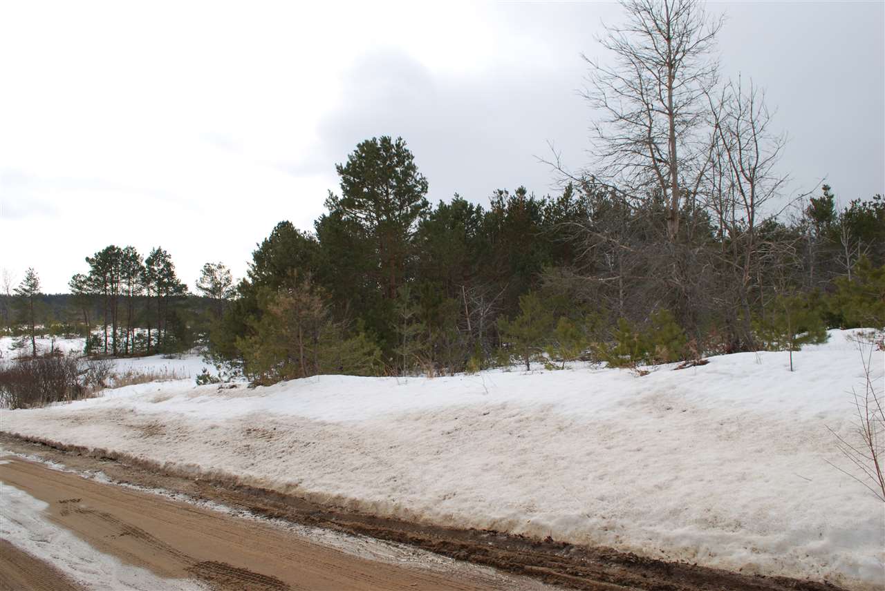 Parcel #4 Southeast Parcel Road Kalkaska, MI 49646 - Photo 3 of 8 1884642-2.JPG