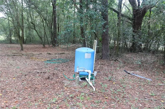a view of a bench in a forest