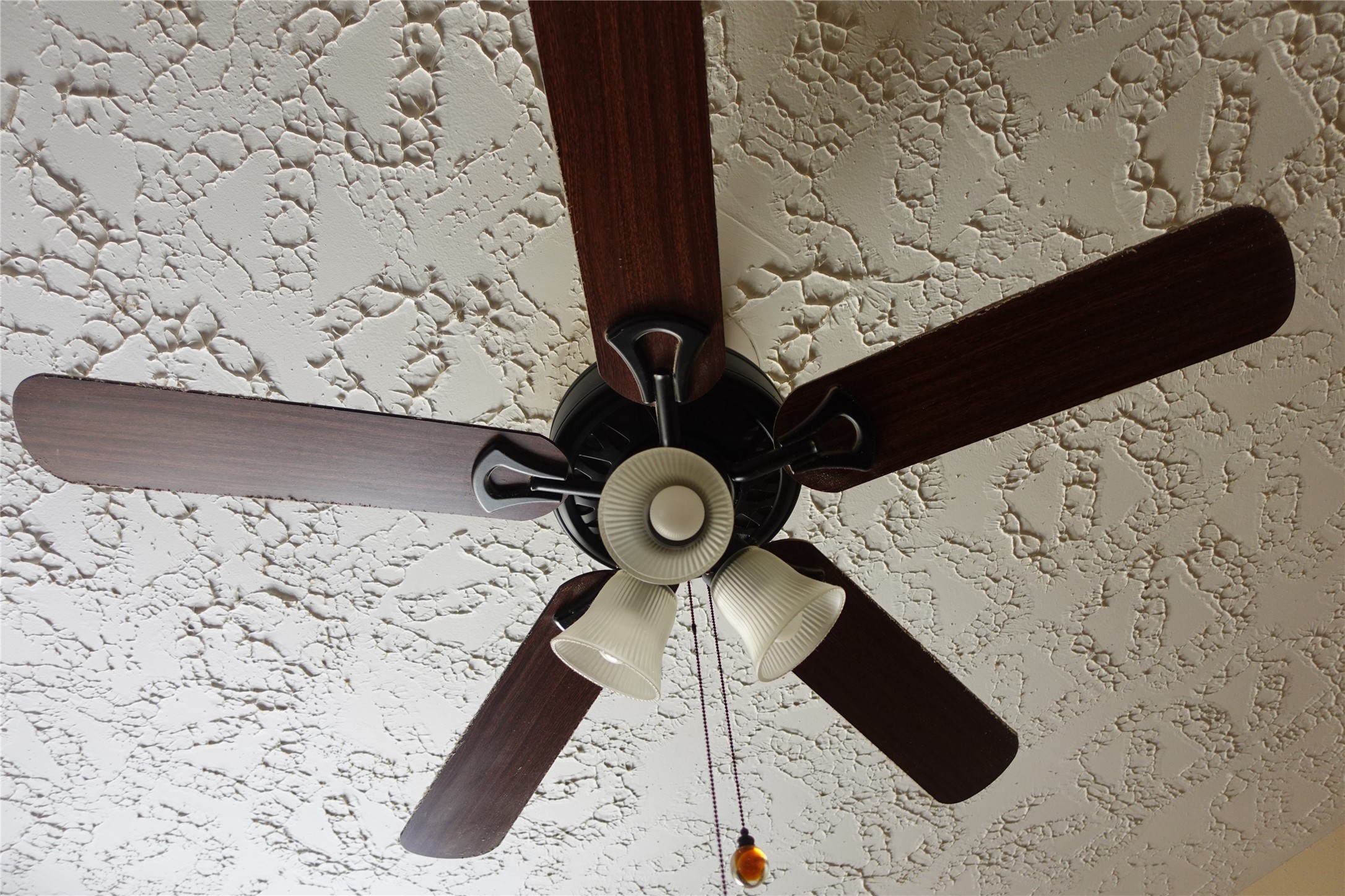 20027 Chipplegate Lane Humble, TX 77338 - Photo 25 of 32