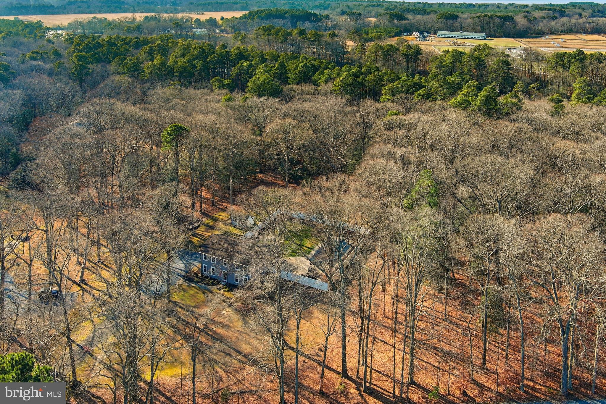 1410 Bennett Point Road Queenstown, MD 21658 - Photo 30 of 36 Aerial view--private wooded lot