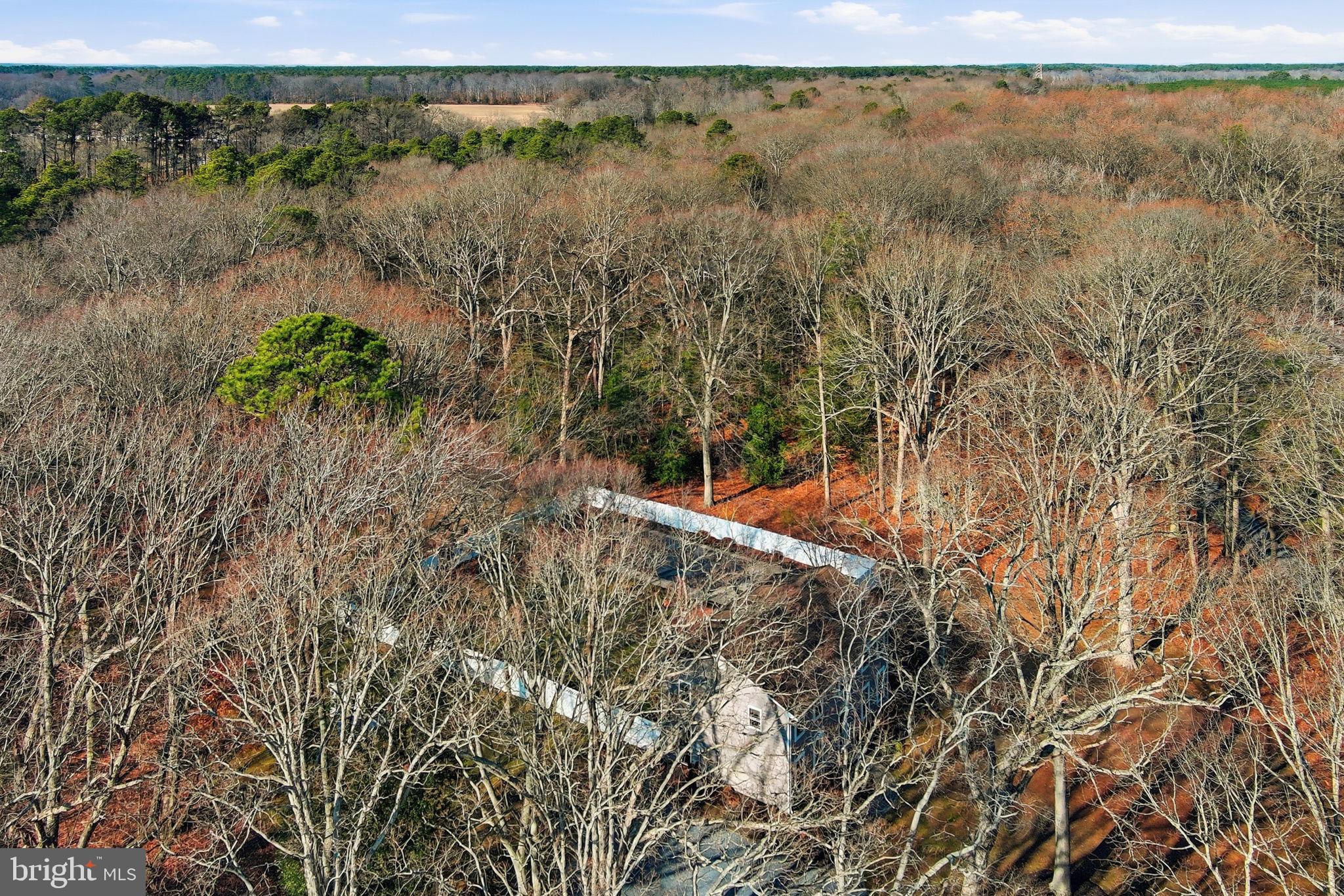 1410 Bennett Point Road Queenstown, MD 21658 - Photo 31 of 36 Aerial view--private wooded lot
