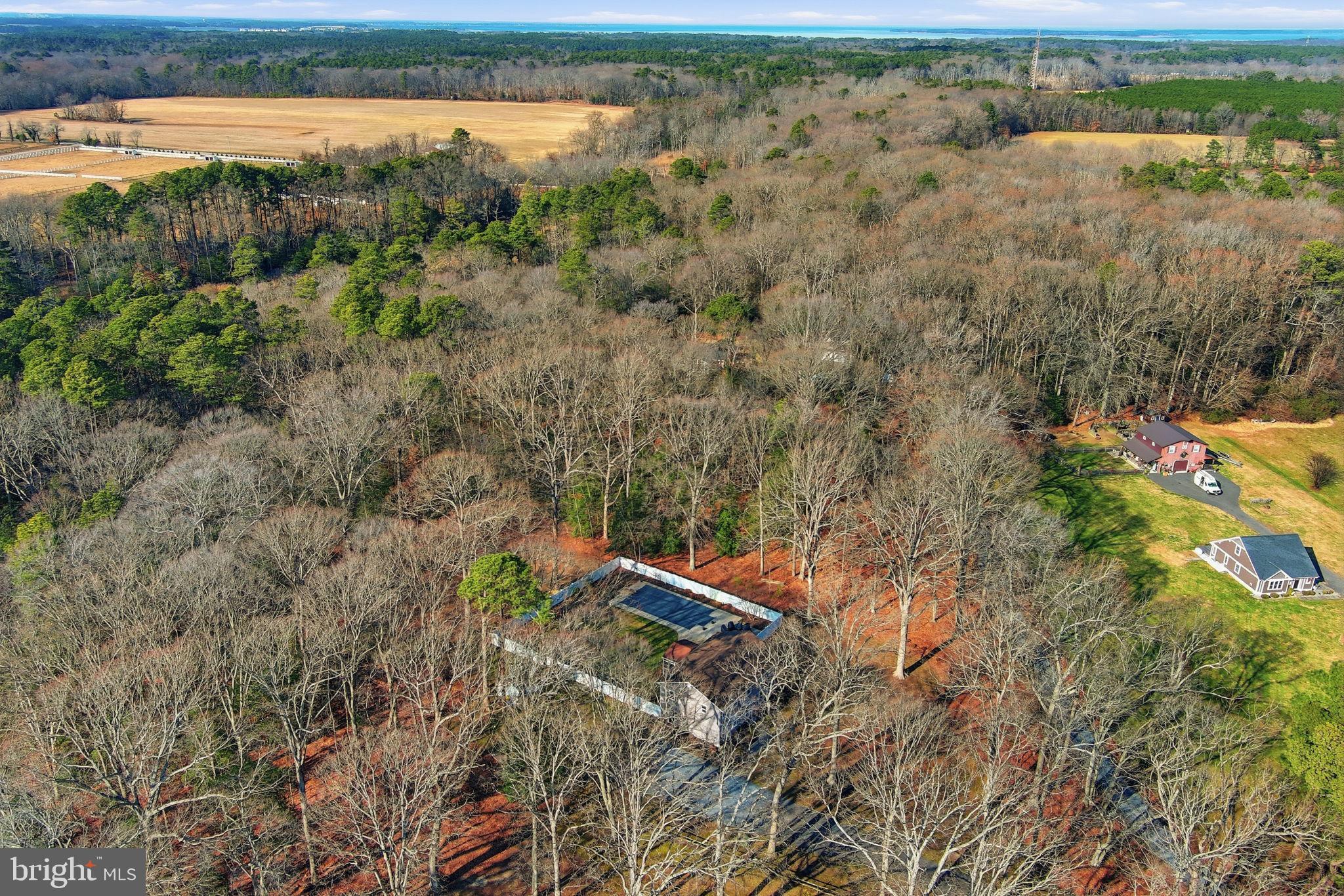 1410 Bennett Point Road Queenstown, MD 21658 - Photo 32 of 36 Aerial view--private wooded lot