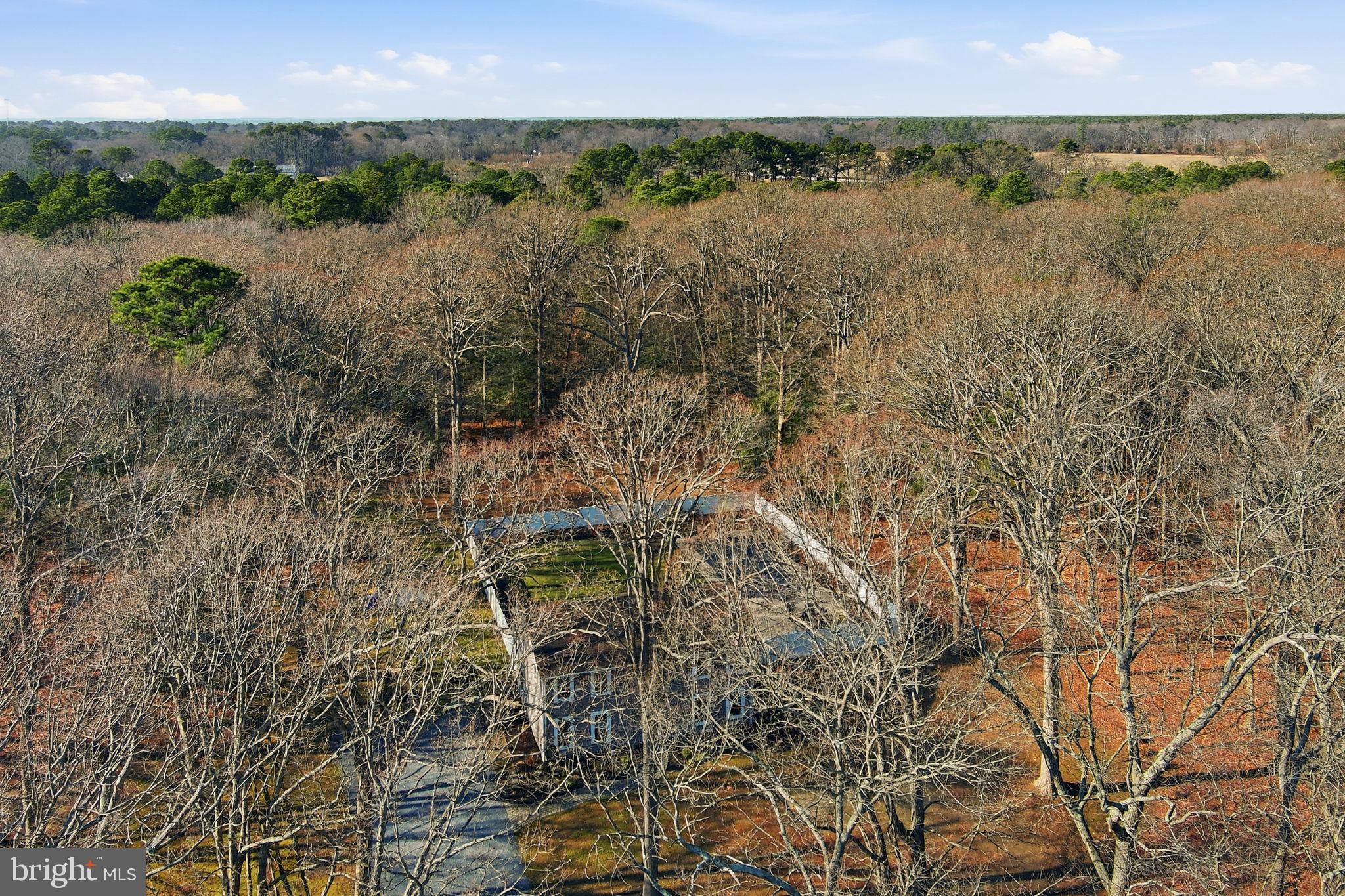1410 Bennett Point Road Queenstown, MD 21658 - Photo 33 of 36 Aerial view--private wooded lot