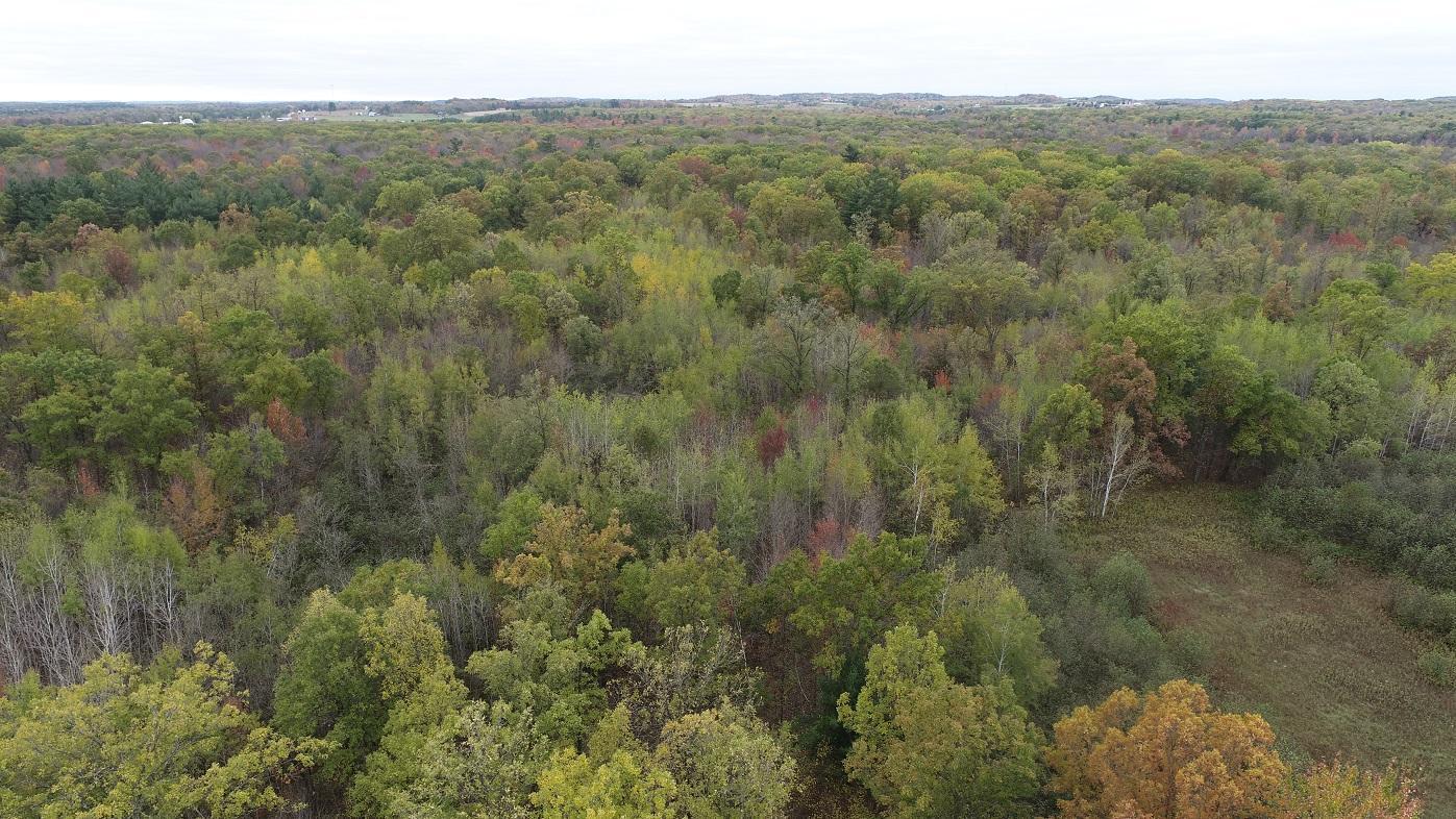 0 20th Avenue Cadott, WI 54727 - Photo 9 of 18