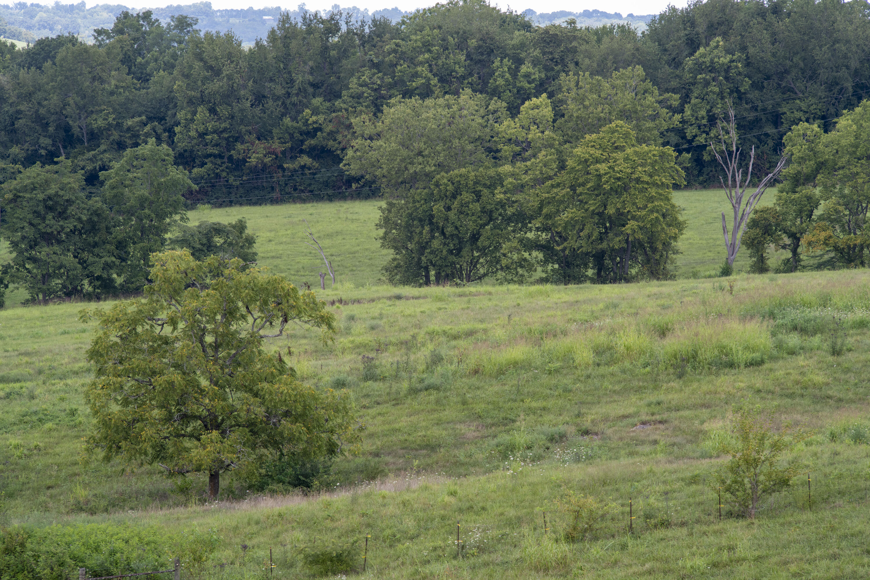 2785 High Bridge Road Wilmore, KY 40390 - Photo 8 of 16 ELand_26