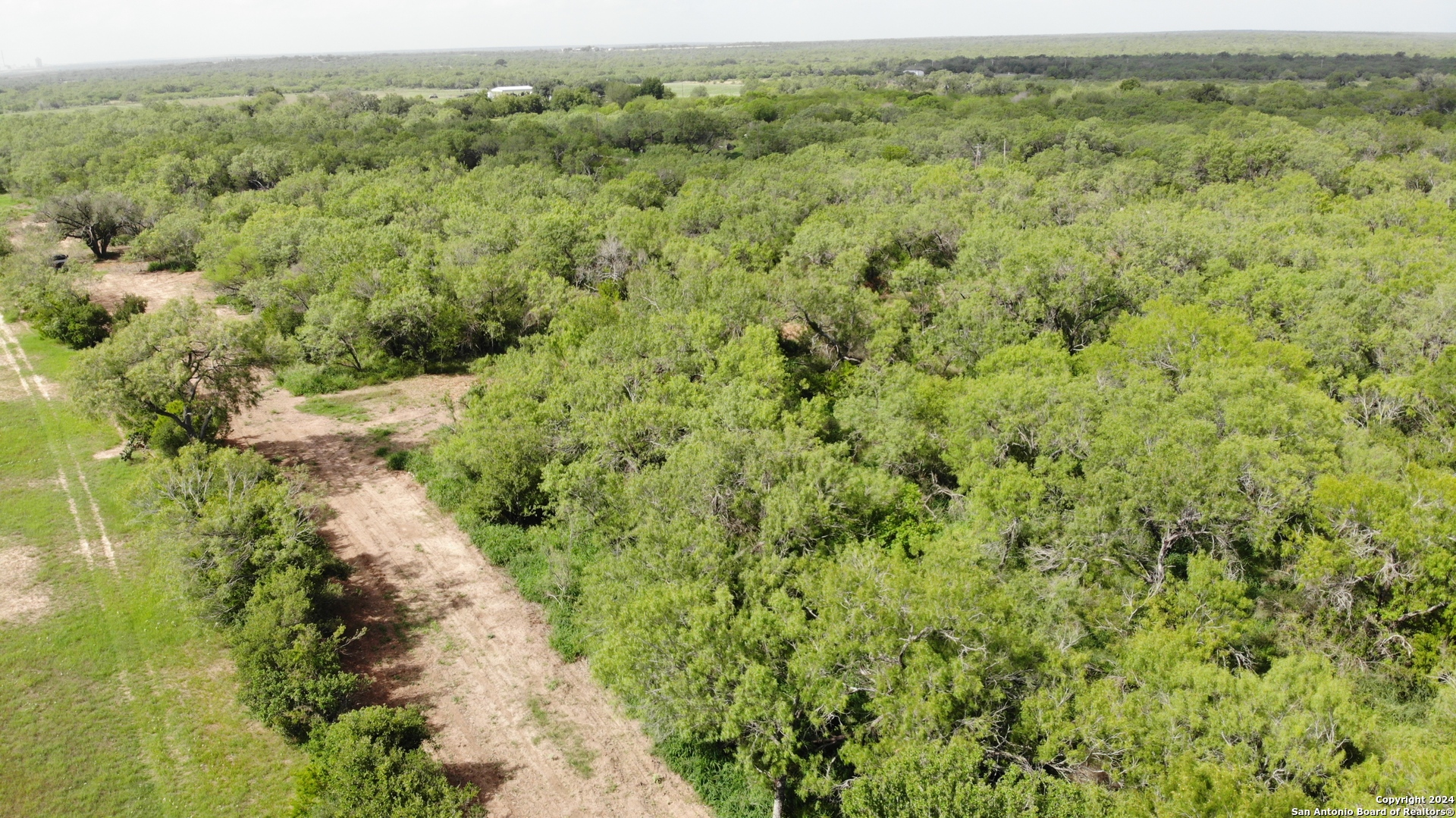 0 6th Street Christine, TX 78064 - Photo 1 of 6