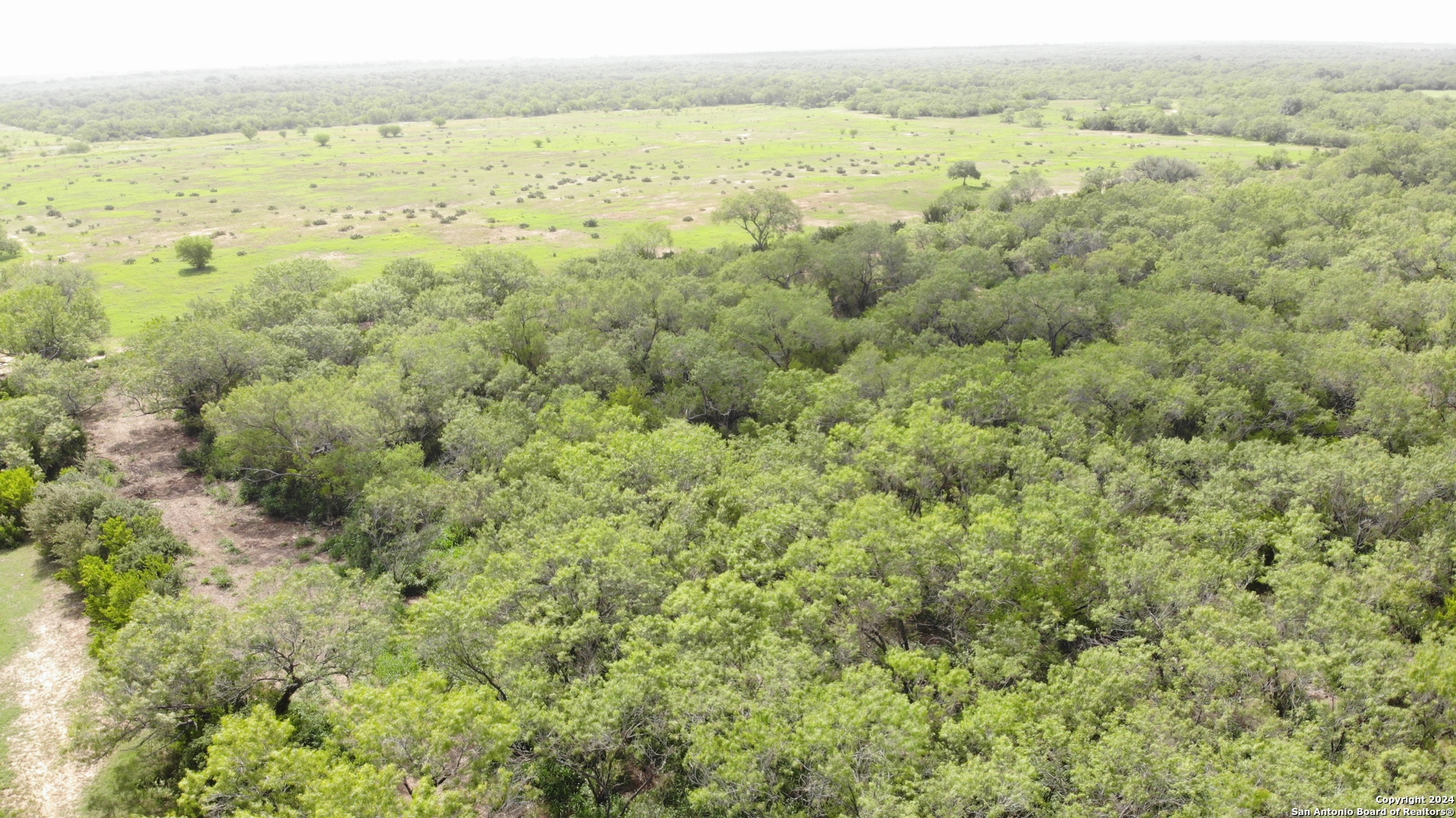0 6th Street Christine, TX 78064 - Photo 3 of 6