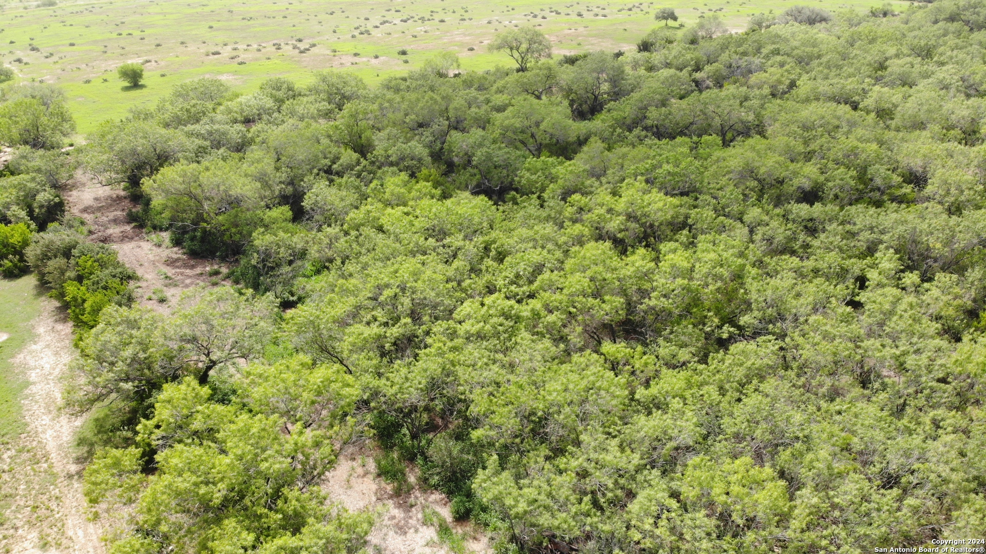 0 6th Street Christine, TX 78064 - Photo 4 of 6