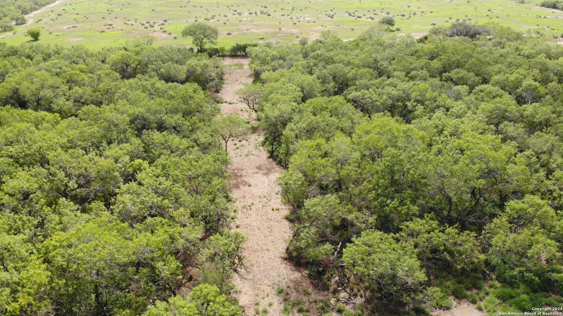 0 6th Street Christine, TX 78064 - Photo 5 of 6