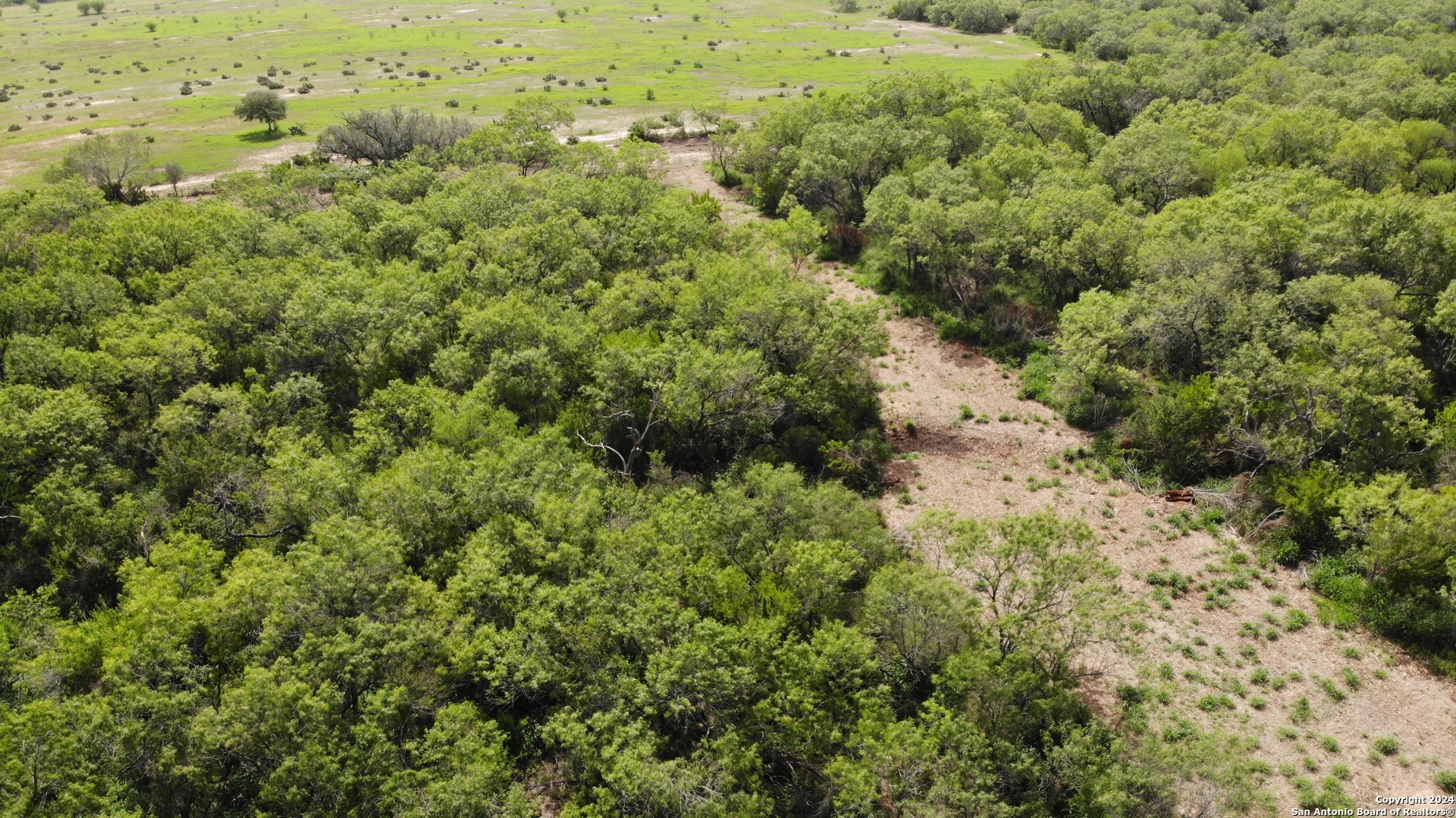 0 6th Street Christine, TX 78064 - Photo 6 of 6