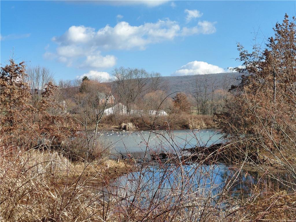 1 Christ's Lane Whitney, PA 15693 - Photo 11 of 14 a view of a backyard