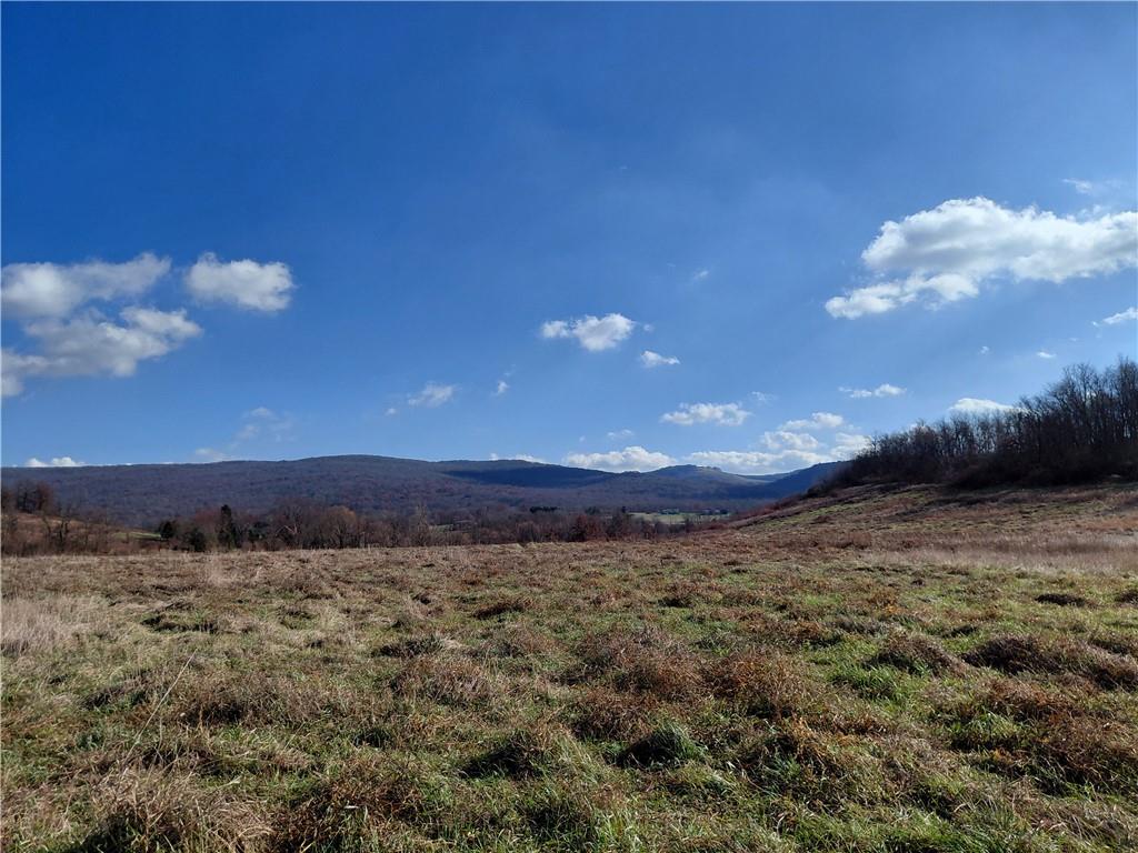 1 Christ's Lane Whitney, PA 15693 - Photo 4 of 14 a view of a yard