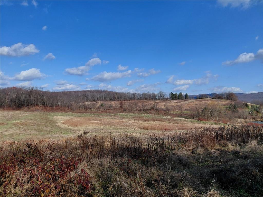 1 Christ's Lane Whitney, PA 15693 - Photo 5 of 14 a view of lake view and mountain view