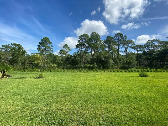 a view of a big yard