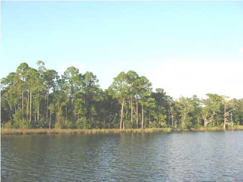N/a George Ellis Point Freeport, FL 32439 - Photo 2 of 4 Additional Photo