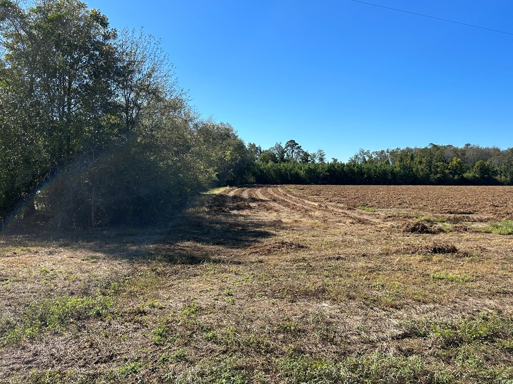 5-ac 5-ac Road Cottonwood, AL 36320 - Photo 18 of 23