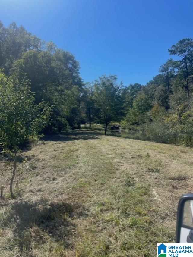 0 Paradise Point Drive Columbiana, AL 35051 - Photo 15 of 23