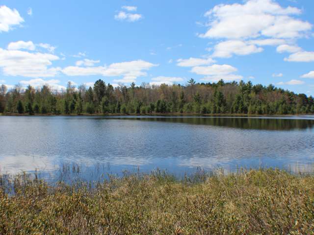 On Star Lake Road Manitowish Waters, WI 54545 - Photo 1 of 11 Gallery Image 1