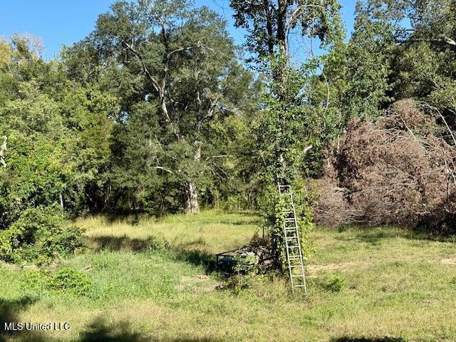 8 Newman Road Natchez, MS 39120 - Photo 16 of 32 8 Newman Rd Pic 8