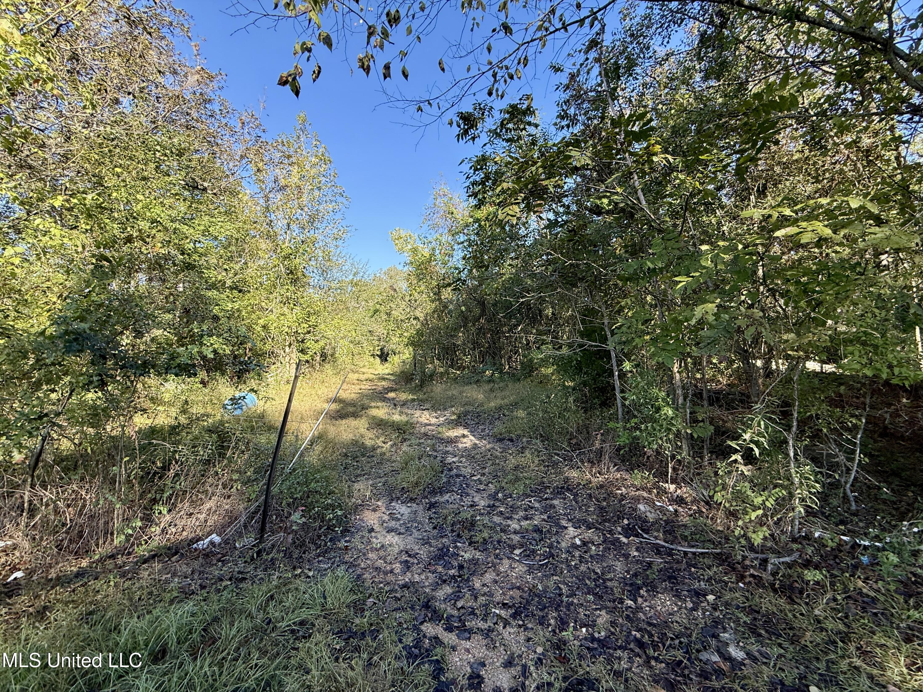 8 Newman Road Natchez, MS 39120 - Photo 32 of 32 IMG_8638