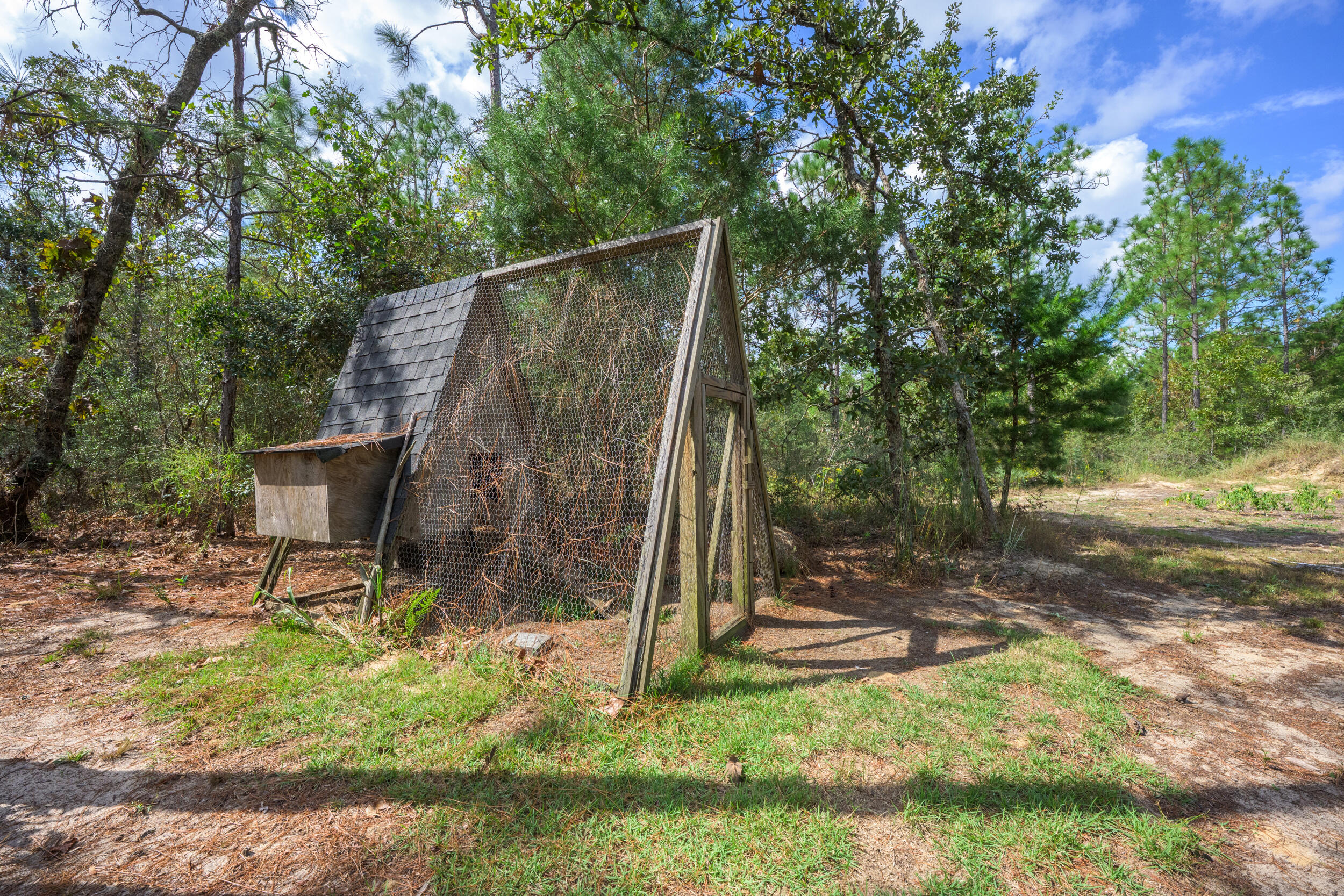 768 Long Road DeFuniak Springs, FL 32433 - Photo 73 of 106 a view of a chair and table in backyard of the house