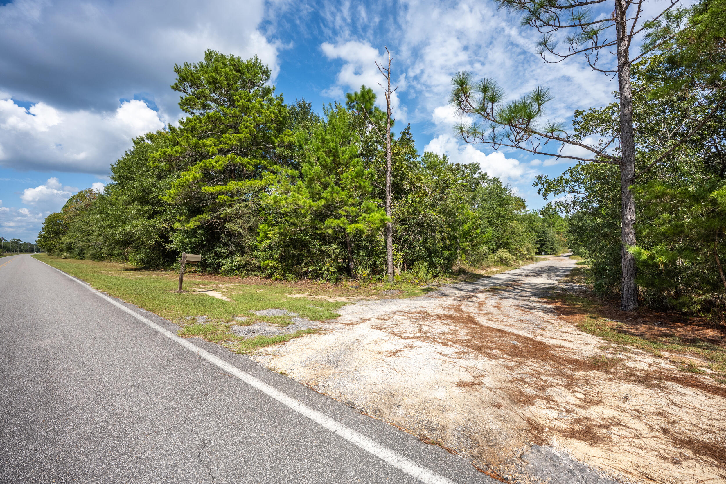 768 Long Road DeFuniak Springs, FL 32433 - Photo 81 of 106 a view of a yard with an trees