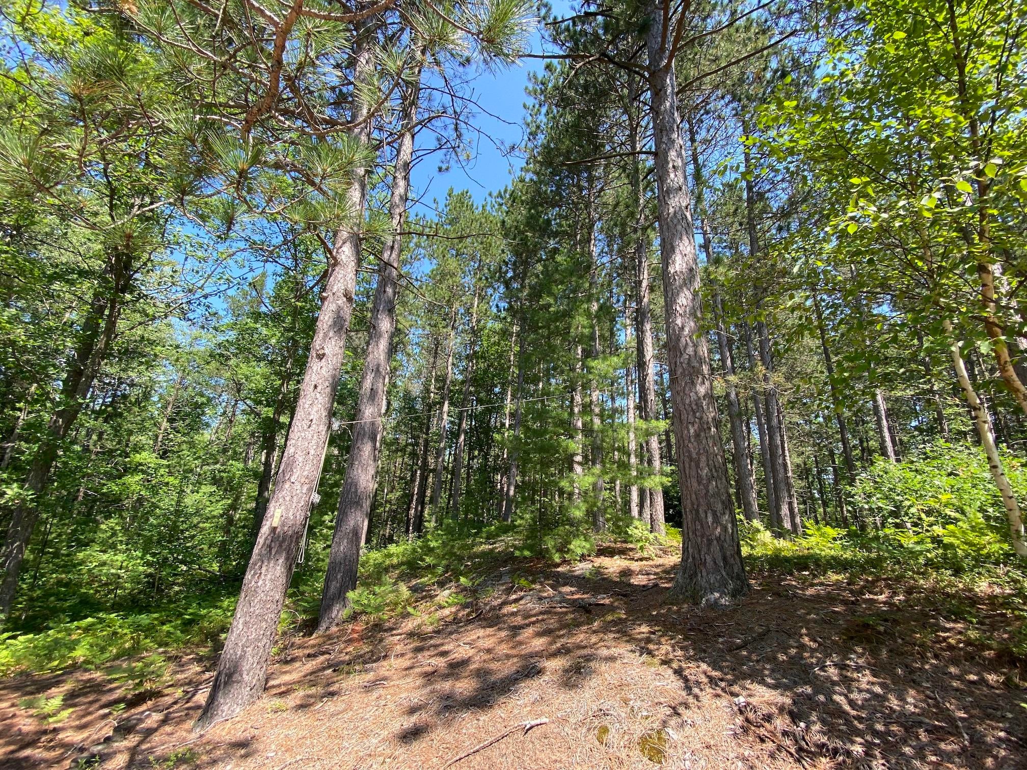 12207 North Duck Marsh Road Paradise, MI 49768 - Photo 39 of 48 Gallery Image 39