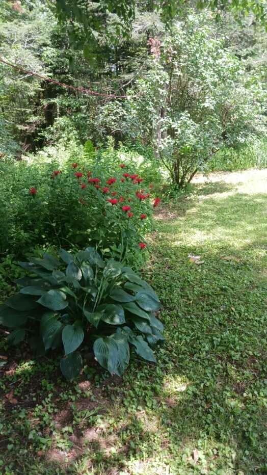 413 Lucy Knowles Road Farmington, ME 04938 - Photo 52 of 52 imagejpeg_2
